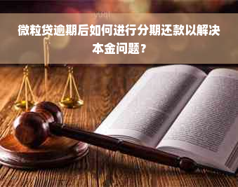 微粒贷逾期后如何进行分期还款以解决本金问题？