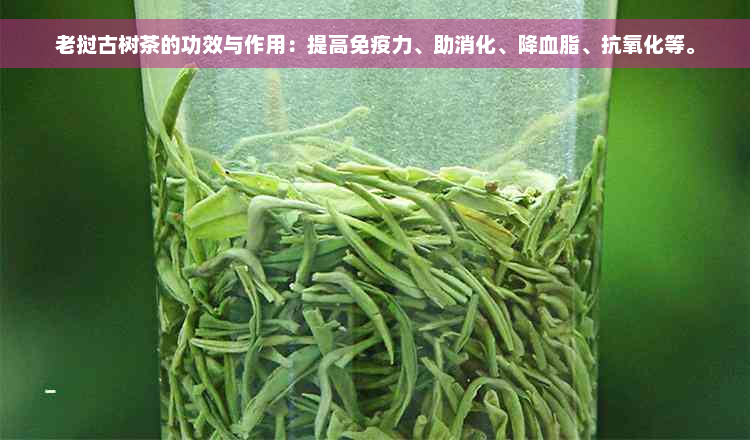 老挝古树茶的功效与作用：提高免疫力、助消化、降血脂、抗氧化等。