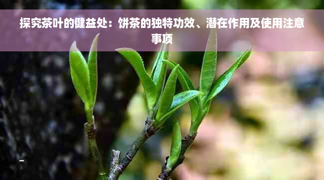 探究茶叶的健益处：饼茶的独特功效、潜在作用及使用注意事项