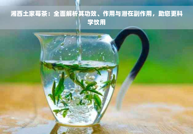 湘西土家莓茶：全面解析其功效、作用与潜在副作用，助您更科学饮用