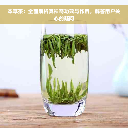 本草茶：全面解析其神奇功效与作用，解答用户关心的疑问