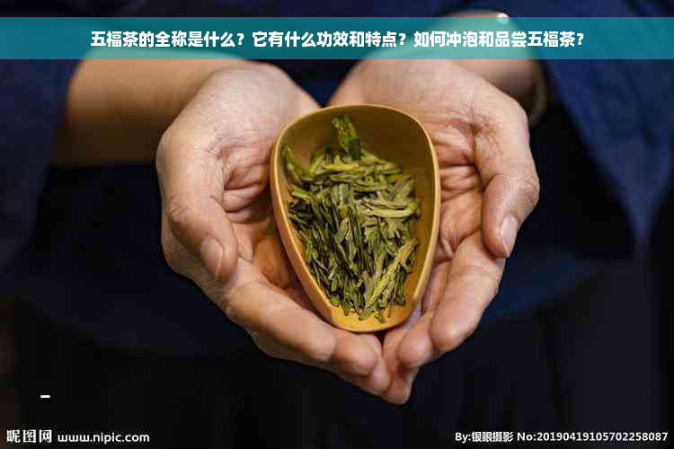 五福茶的全称是什么？它有什么功效和特点？如何冲泡和品尝五福茶？