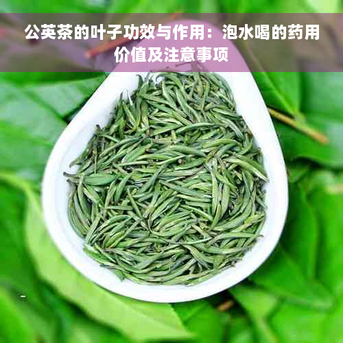 公英茶的叶子功效与作用：泡水喝的药用价值及注意事项