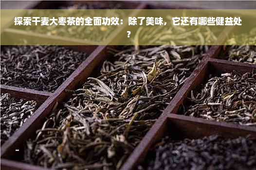 探索干麦大枣茶的全面功效：除了美味，它还有哪些健益处？