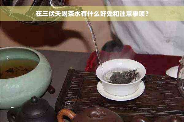 在三伏天喝茶水有什么好处和注意事项？