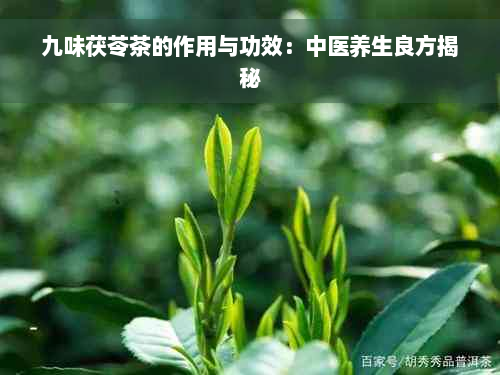 九味茯苓茶的作用与功效：中医养生良方揭秘