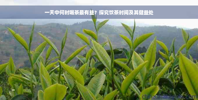 一天中何时喝茶最有益？探究饮茶时间及其健益处