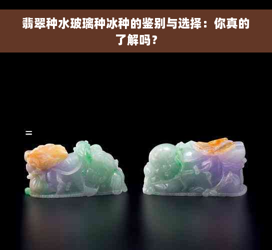 翡翠种水玻璃种冰种的鉴别与选择：你真的了解吗？