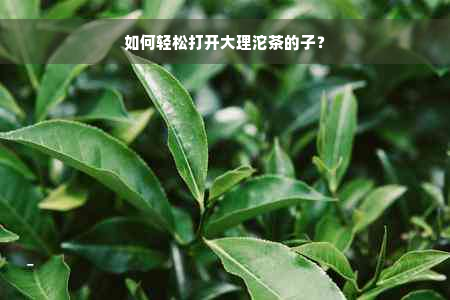 如何轻松打开大理沱茶的子？