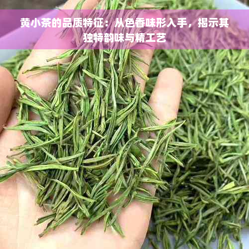 黄小茶的品质特征：从色香味形入手，揭示其独特韵味与精工艺