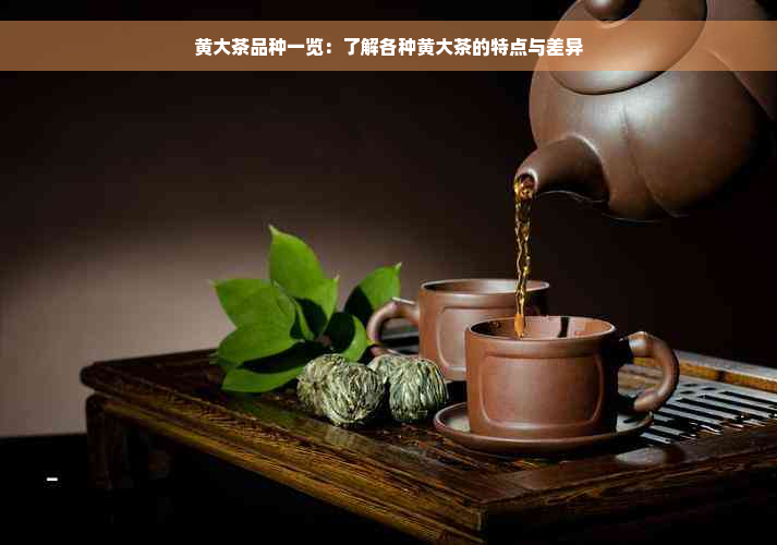 黄大茶品种一览：了解各种黄大茶的特点与差异