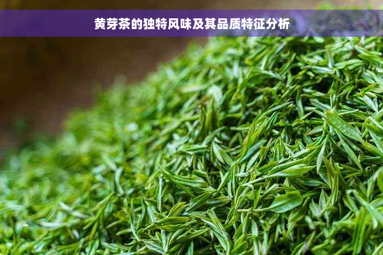 黄芽茶的独特风味及其品质特征分析