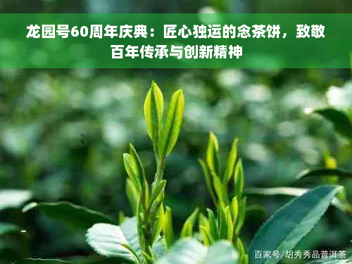 龙园号60周年庆典：匠心独运的念茶饼，致敬百年传承与创新精神