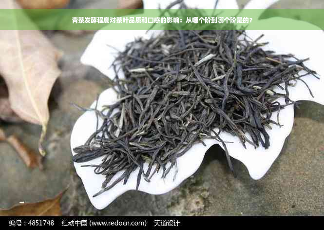 青茶发酵程度对茶叶品质和口感的影响：从哪个阶到哪个阶是的？