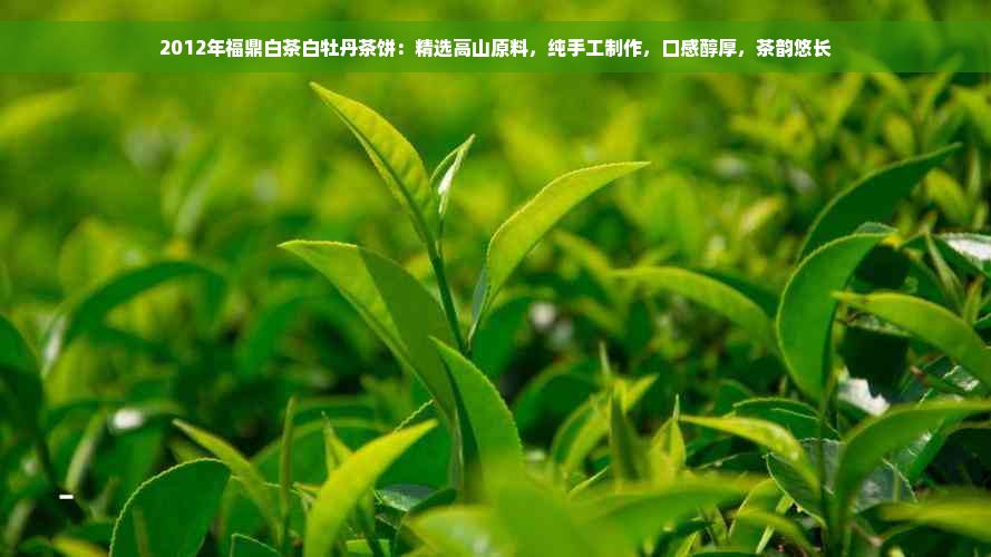 2012年福鼎白茶白牡丹茶饼：精选高山原料，纯手工制作，口感醇厚，茶韵悠长