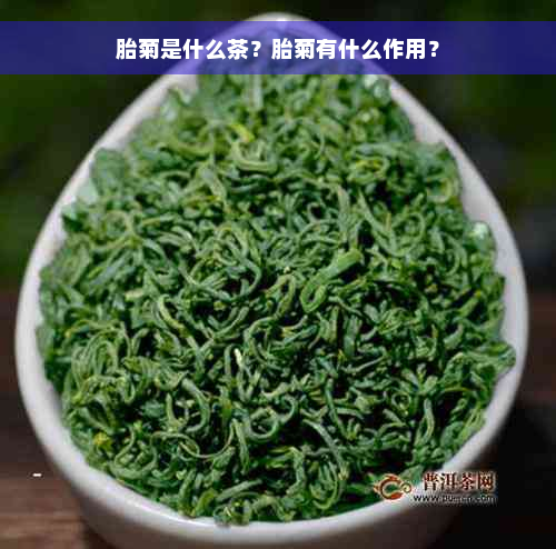 胎菊是什么茶？胎菊有什么作用？