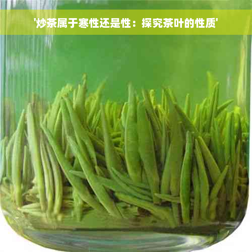 '炒茶属于寒性还是性：探究茶叶的性质'