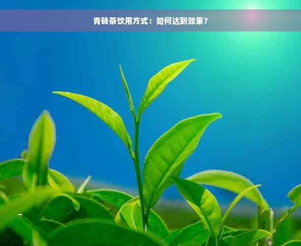 青砖茶饮用方式：如何达到效果？