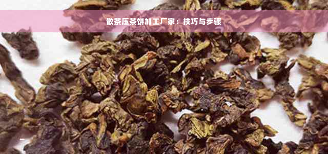 散茶压茶饼加工厂家：技巧与步骤