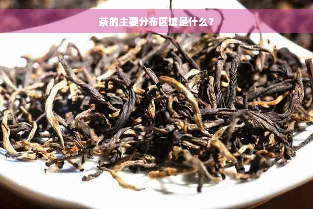 茶的主要分布区域是什么？