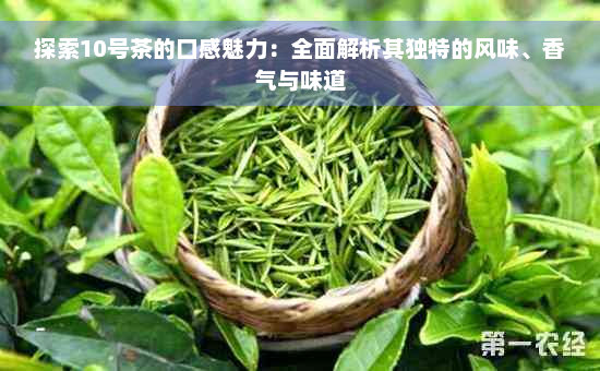 探索10号茶的口感魅力：全面解析其独特的风味、香气与味道