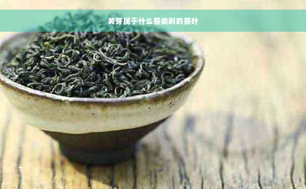 黄芽属于什么茶类别的茶叶