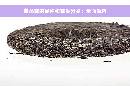 单丛茶的品种和茶类分类：全面解析