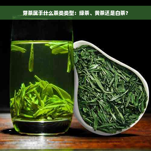 芽茶属于什么茶类类型：绿茶、黄茶还是白茶？