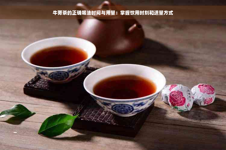 牛蒡茶的正确喝法时间与用量：掌握饮用时刻和适量方式