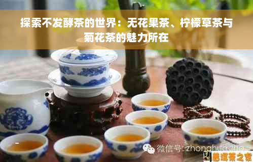 探索不发酵茶的世界：无花果茶、柠檬草茶与菊花茶的魅力所在