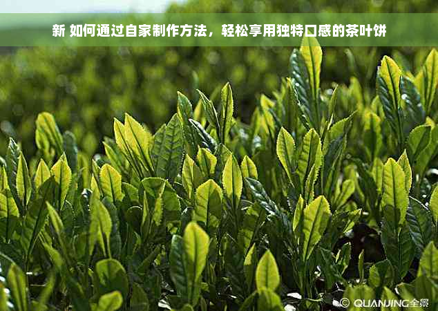 新 如何通过自家制作方法，轻松享用独特口感的茶叶饼