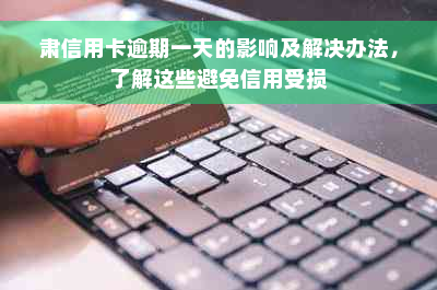 肃信用卡逾期一天的影响及解决办法，了解这些避免信用受损