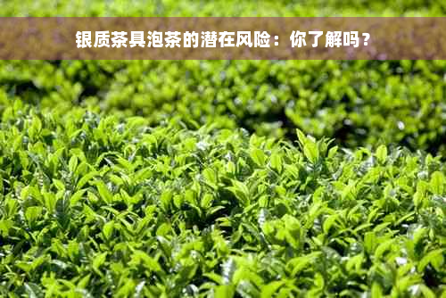 银质茶具泡茶的潜在风险：你了解吗？