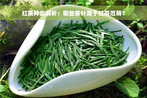 红茶种类解析：哪些茶叶属于红茶范畴？