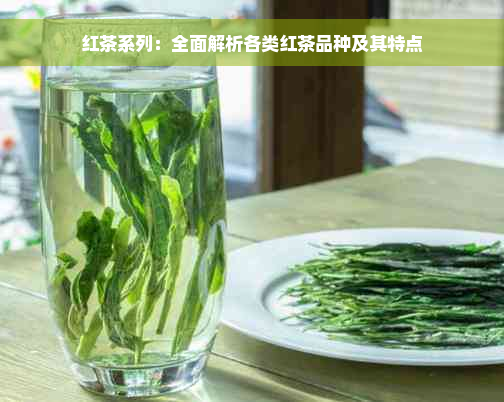 红茶系列：全面解析各类红茶品种及其特点