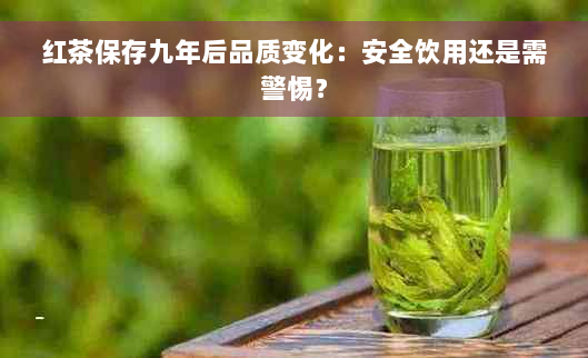 红茶保存九年后品质变化：安全饮用还是需警惕？