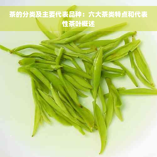 茶的分类及主要代表品种：六大茶类特点和代表性茶叶概述