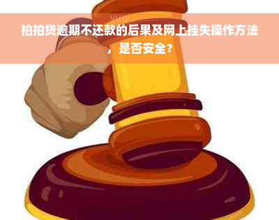 拍拍贷逾期不还款的后果及网上挂失操作方法，是否安全？