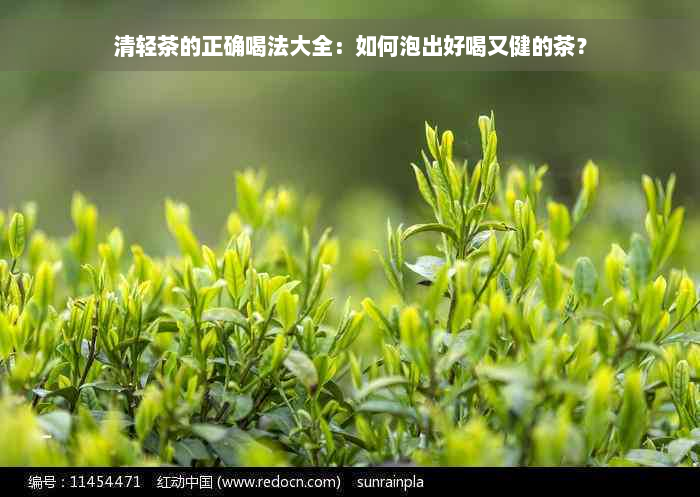 清轻茶的正确喝法大全：如何泡出好喝又健的茶？