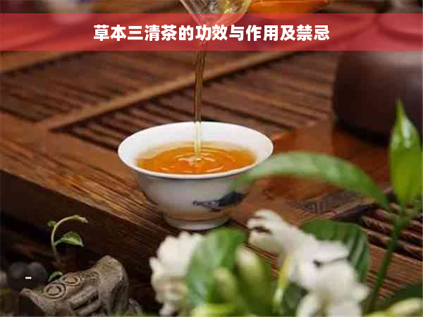 草本三清茶的功效与作用及禁忌