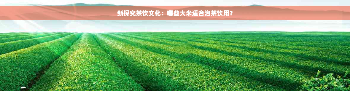 新探究茶饮文化：哪些大米适合泡茶饮用？