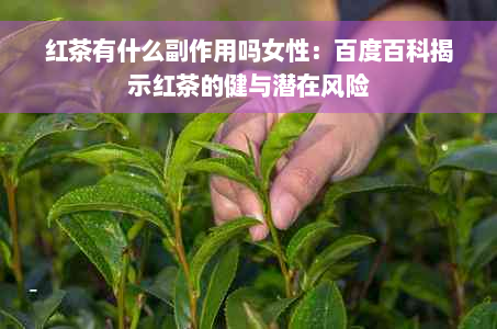 红茶有什么副作用吗女性：百度百科揭示红茶的健与潜在风险