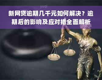 新网贷逾期几千元如何解决？逾期后的影响及应对措全面解析