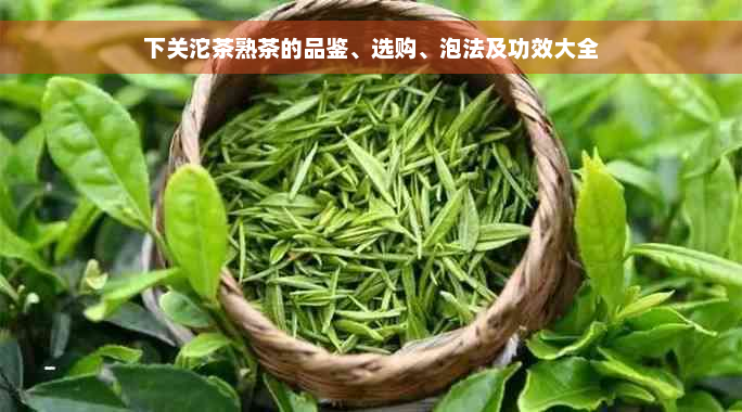 下关沱茶熟茶的品鉴、选购、泡法及功效大全