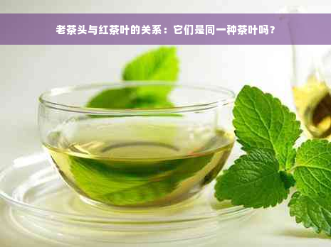 老茶头与红茶叶的关系：它们是同一种茶叶吗？