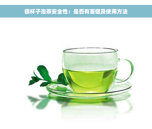 银杯子泡茶安全性：是否有害健及使用方法