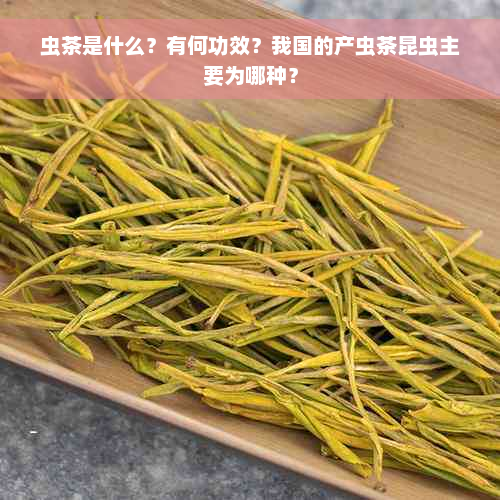 虫茶是什么？有何功效？我国的产虫茶昆虫主要为哪种？