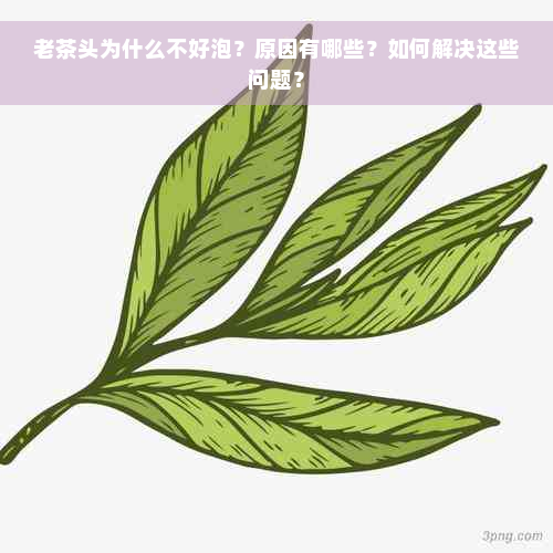 老茶头为什么不好泡？原因有哪些？如何解决这些问题？