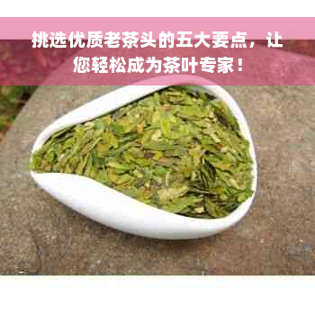 挑选优质老茶头的五大要点，让您轻松成为茶叶专家！