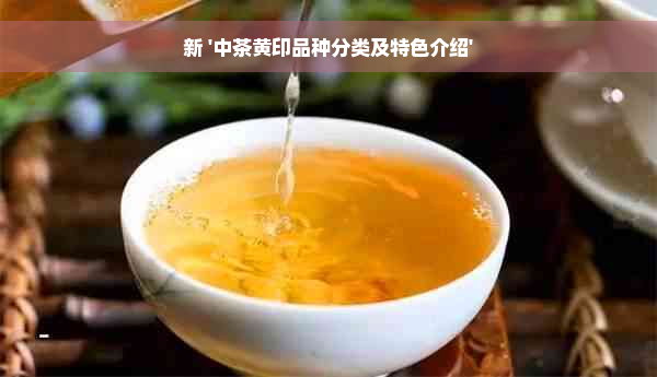 新 '中茶黄印品种分类及特色介绍'